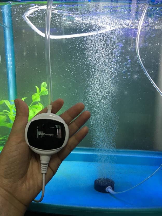 Компрессор для аквариума своими руками (26 фото): как сделать аквариумный аэратор из подручных средств? самодельные компрессоры из кулера и других материалов