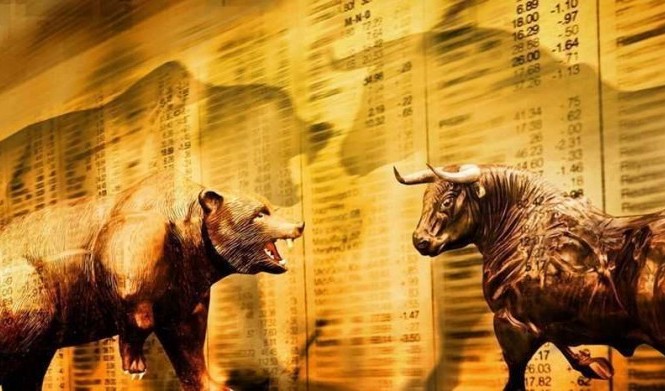 Медведи и быки на бирже: что это значит и как влияют на финансовый рынок