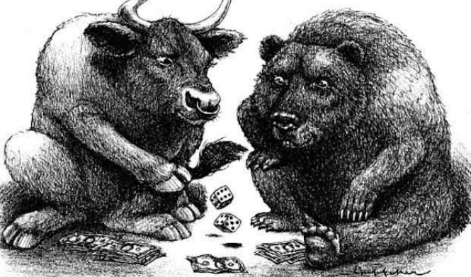 Медведи и быки: сравнительный анализ поведения и привычек