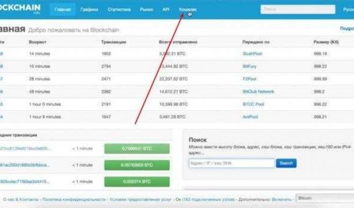 Проверка биткоин кошелька: как узнать баланс и операции на сайте блокчейн.