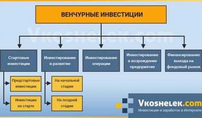 Венчурный проект: что это такое и как запустить свой бизнес и привлечь инвесторов?